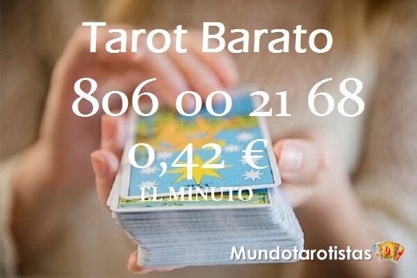 002 - copia 002 - copia