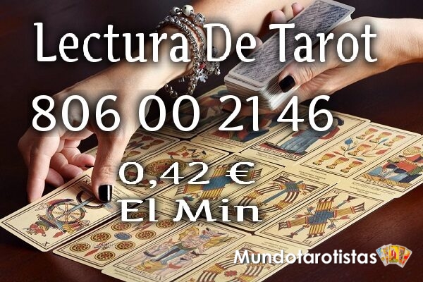 multimedia.normal.b955a608cb5c6dea.7461726f745f6e6f726d616c2e6a7067