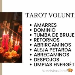 TAROT VOLUNTAD 2