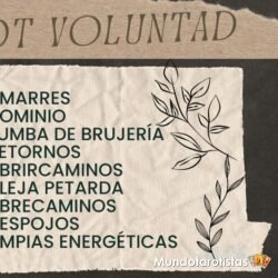 TAROT VOLUNTAD 1