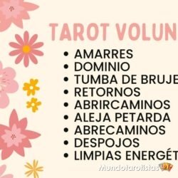 TAROT VOLUNTAD 2