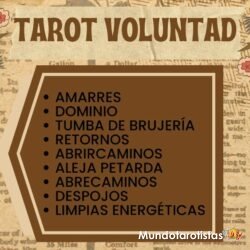 TAROT VOLUNTAD 1