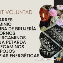 TAROT VOLUNTAD 1