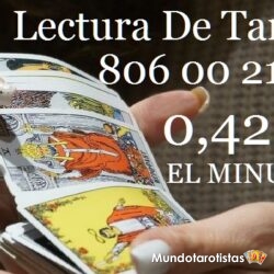 _adivina-usando-cartas-del-tarot_15695624_detail