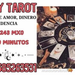 SARAY TAROT (1)