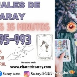 El tarot de Saray (3)