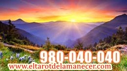 980040040 (23)