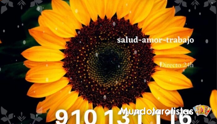 tarot videncia publi24 tarot videncia publi24