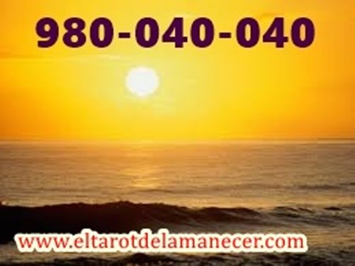 980040040 (22)