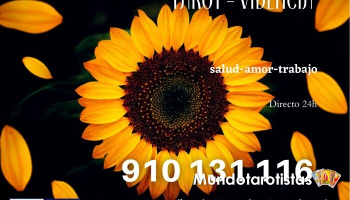 1_tarot_videncia1
