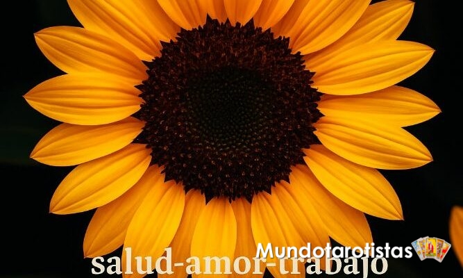 tarot-videncia