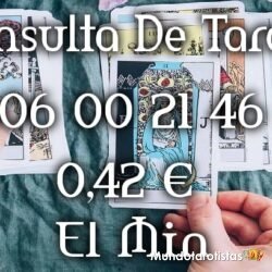 240_F_60040616_zebDORhvXkdlDAhV3nQgZxw7VSiysA0h