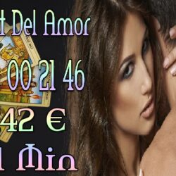 39cab5e22557a0cb1163cfb1dac9e199