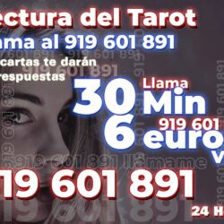 V1 - 6 euros - ancha