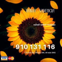 1_Directo_24h