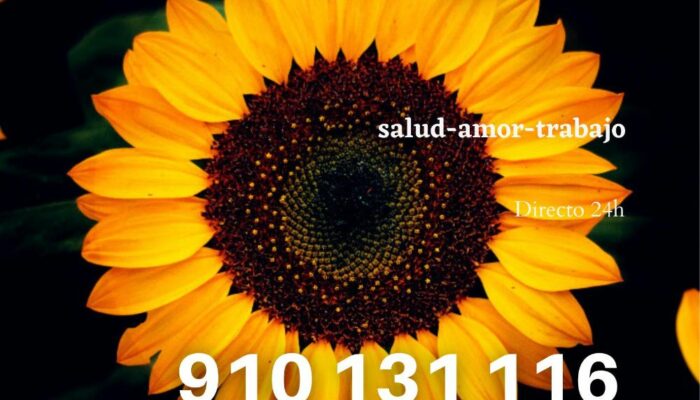 1_Directo_24h 1_Directo_24h