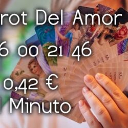 36674aaf4d6e9f5cf392035dac704ce0