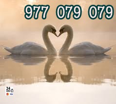 977079079 (4)