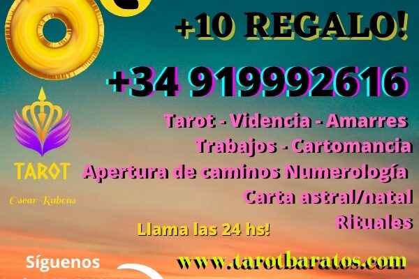 8a758911-58f5-4611-9538-8dabc3721960 8a758911-58f5-4611-9538-8dabc3721960