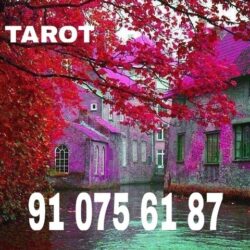 66272990_851428085256527_6490428971396628480_n