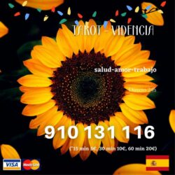 Diseño sin título(1)