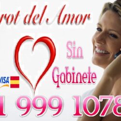 993097f10be0cd7df723fd46f413521f