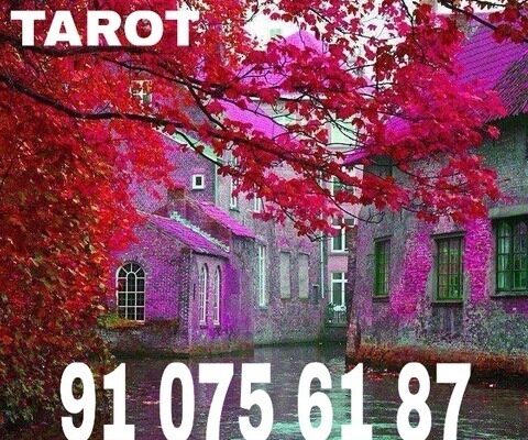 66272990_851428085256527_6490428971396628480_n