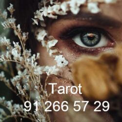 494274660_2379231515809502_1542454334003773057_n