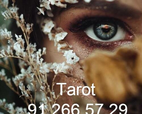 494274660_2379231515809502_1542454334003773057_n