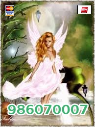 986070007 (6) 986070007 (6)