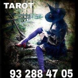 8a7fb8d59e70b51b4c23f10efa59c6d5