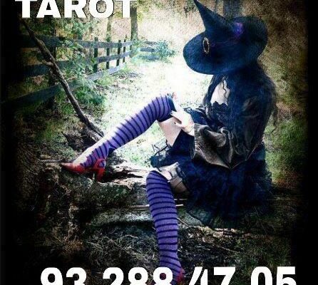 8a7fb8d59e70b51b4c23f10efa59c6d5 8a7fb8d59e70b51b4c23f10efa59c6d5