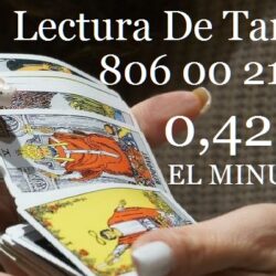 _adivina-usando-cartas-del-tarot_15695624_detail