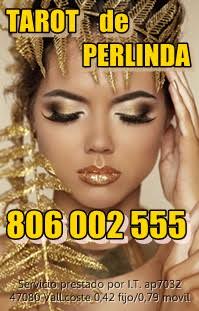 806002555 (1) 806002555 (1)