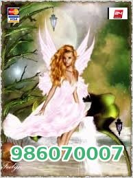 986070007 (6) 986070007 (6)