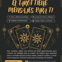 WhatsApp Image 2026-02-05 at 3.59.26 PMjjjjjjj