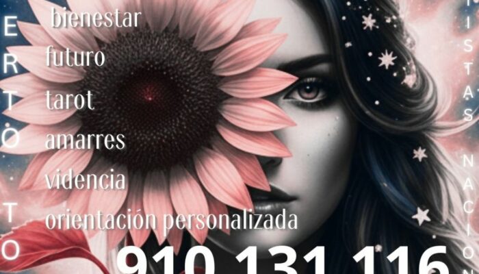 910 131 116(1) 910 131 116(1)