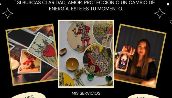 WhatsApp Image 2026-02-05 at 3.59.25 PM