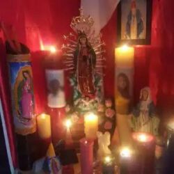 photo_2025-06-07_19-37-55 (3)