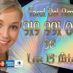 9cd5e0d6549a4b7bb834155926f15196