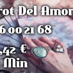 28a61b7ec7cf0325eee92ffd9d2e0f89