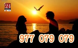 977079079 (19) 977079079 (19)