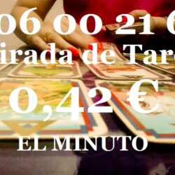 eleicoes-copa-do-mundo-e-infraestrutura-tarologa-preve-2014-ao-portal-engeplus - copia (4)