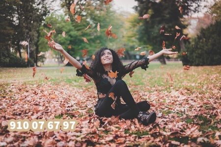 91076797 (12) 91076797 (12)