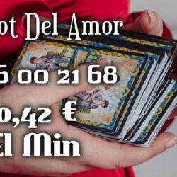 67080449_392035834618055_1754865010842009600_o