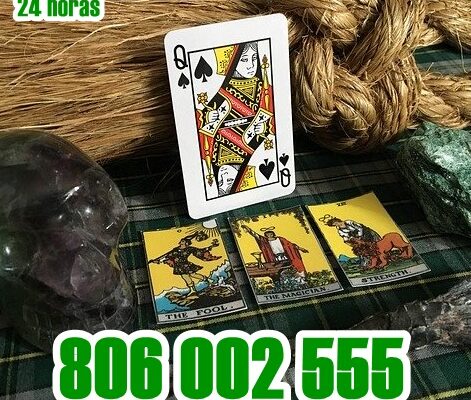 806002555 (3) 806002555 (3)