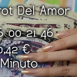 7e17a38dcb8dff493b857d828f240c32