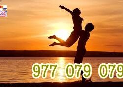977079079 (1)