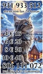f14 f14