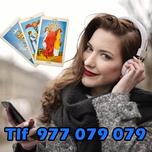 977b 977b